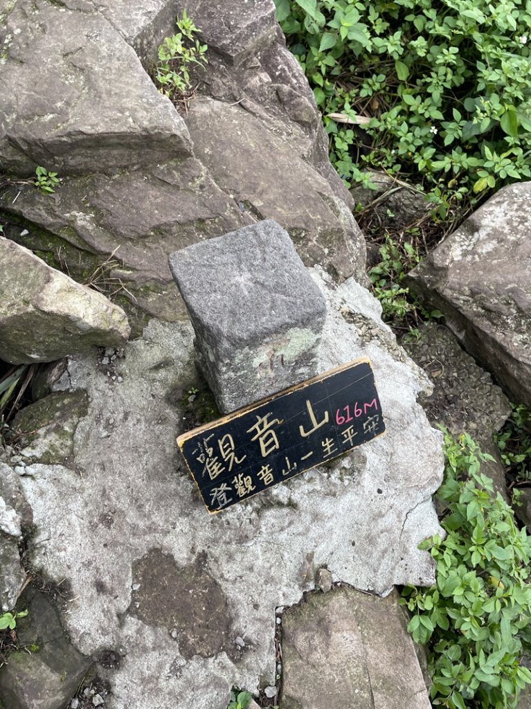 觀音山秘境_2634053