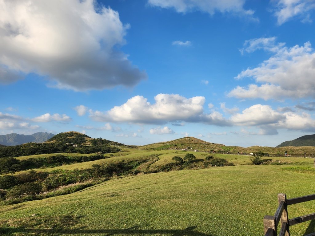 1121118【走遍陽明山】擎天崗連走魚路古道_2356330