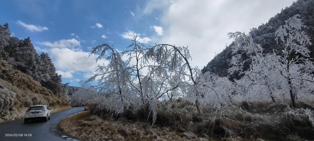 #霧淞 #雲海 #雲瀑 #霧虹 #太平山 #望洋山 #觀雲步道 #翠峰道路  2/8_2995251