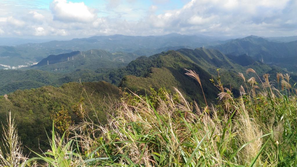 親子健行絕佳地!二格子山!封面圖