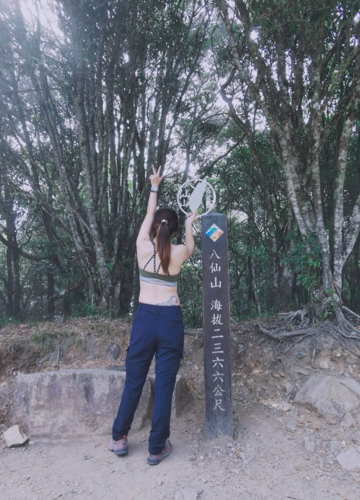 2022.10.22 谷關七雄-八仙山 I美到像住在魔法森林裡的仙女I封面圖