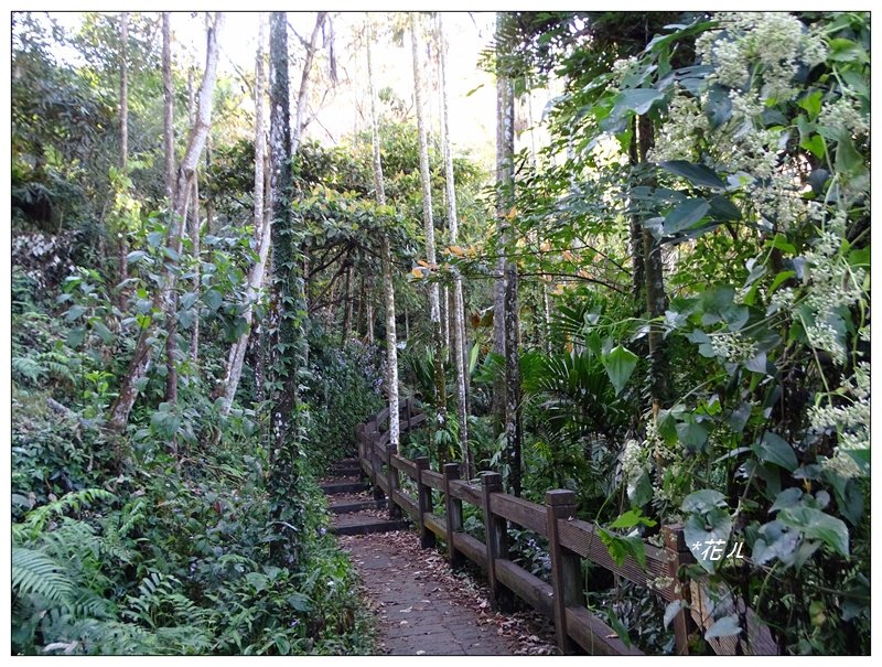 華山/3號好漢步道_781448