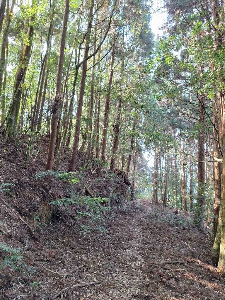 盡尾山20251225_2971989