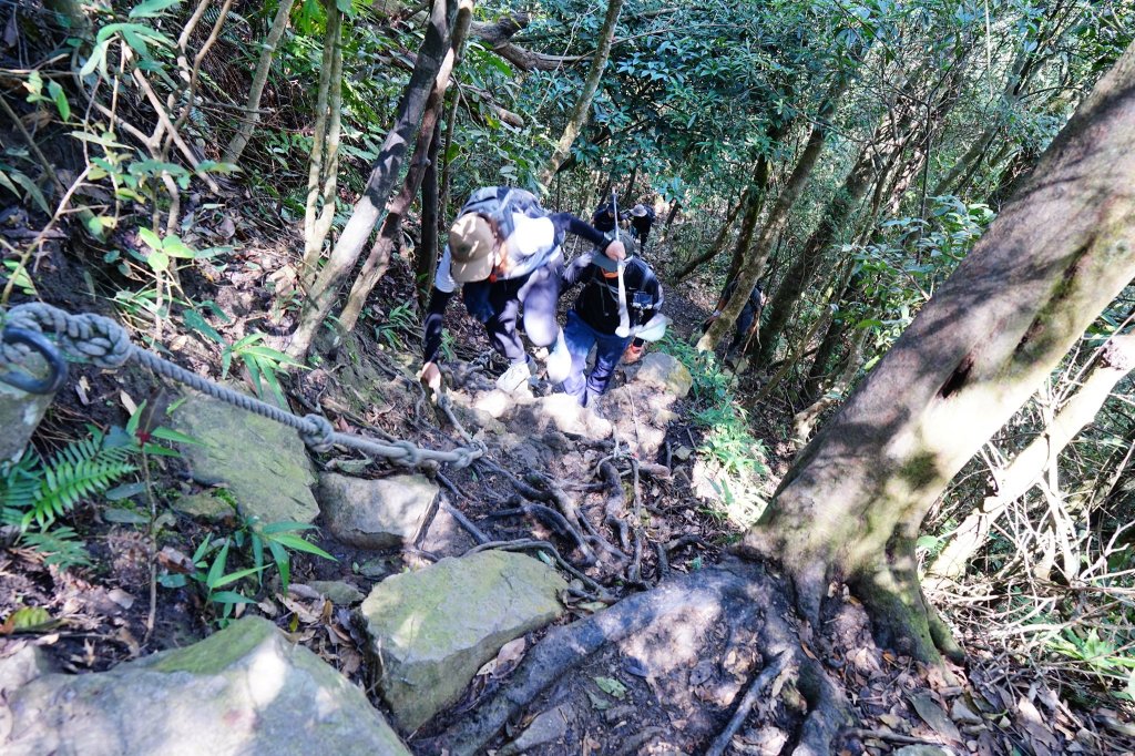 谷關七雄 | 三級解封後的白毛山_1452771