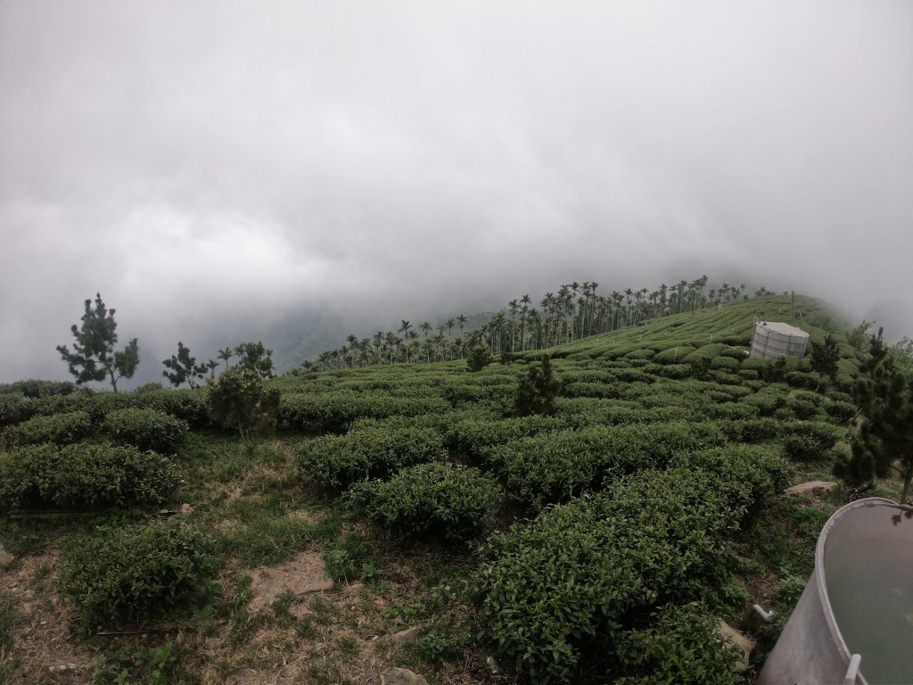 【雲林-嘉義】挑筍古道，車心崙步道_897735