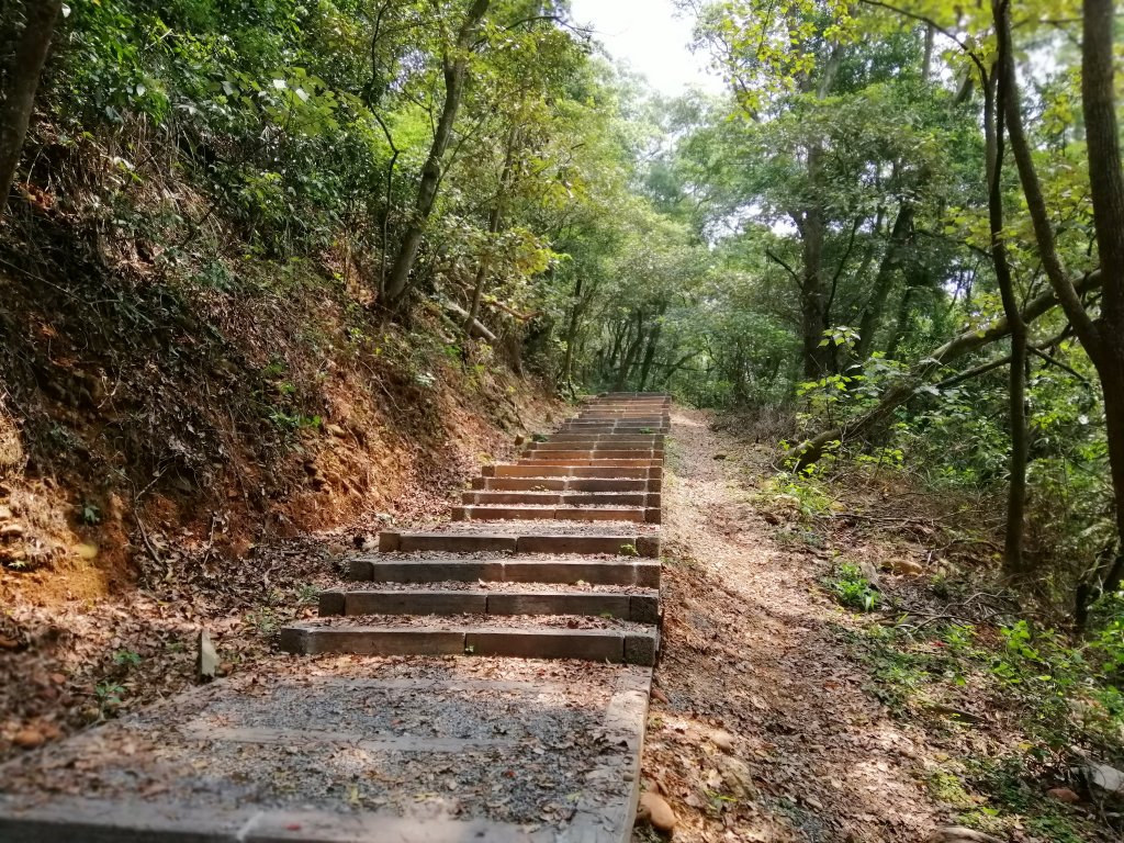 八卦山山脈最高峰。編號48小百岳 橫山封面圖