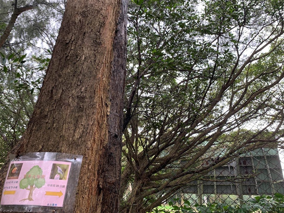 福人登山步道縱走大北坑_2063358