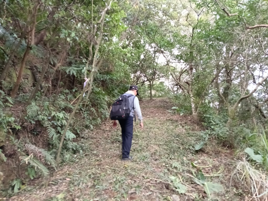 基隆市三層山+湳子大崙+淡基橫斷古道+面桶寮土地公_2982241