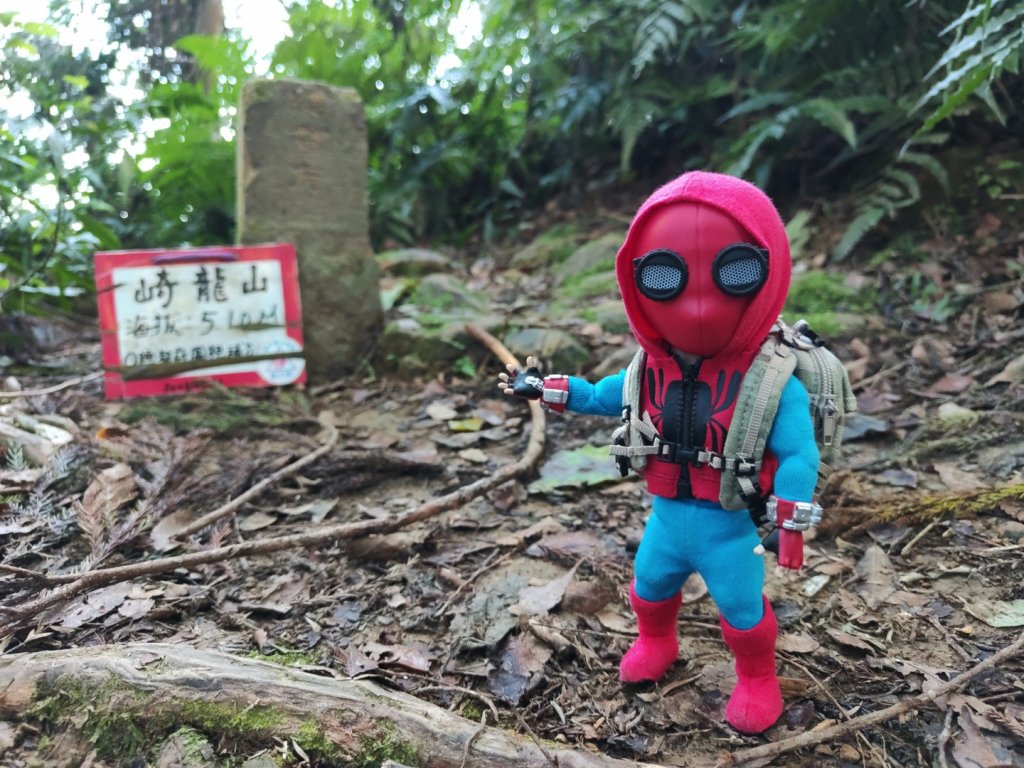 2024.11.29 騎龍山+騎龍古道_2990412