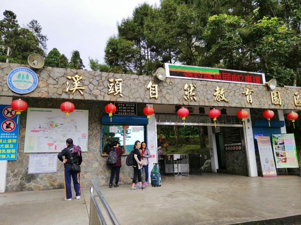 森林綠意滿滿芬多精。 溪頭森林遊樂區_770563