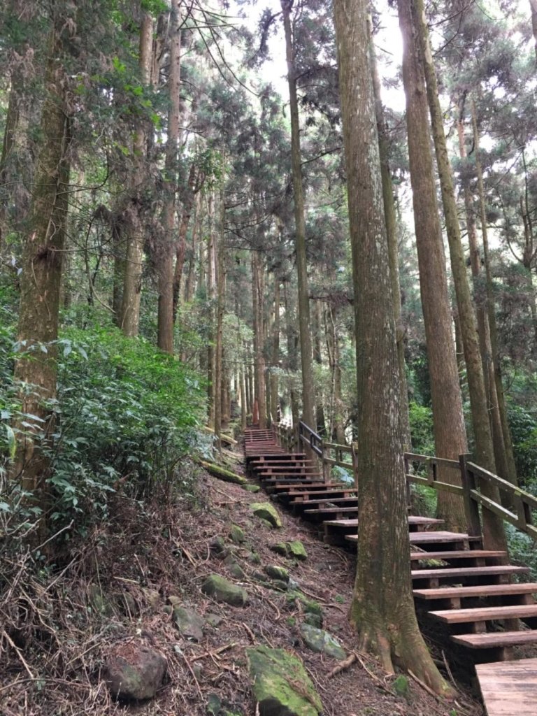 奮起湖步道神社遺址_558837