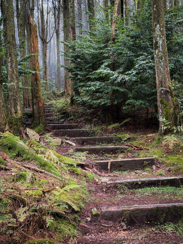 船型山-稍來小雪山國家步道封面圖