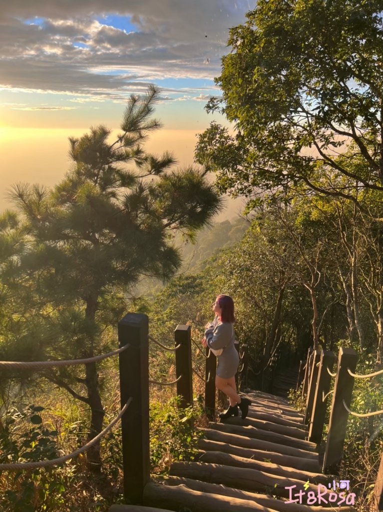 頭嵙山 大坑步道封面圖