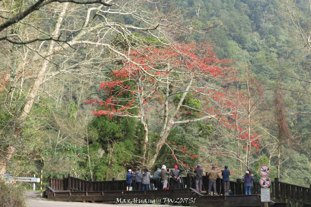 《台中》谷關七雄｜初登屋我尾山20170319_2890472
