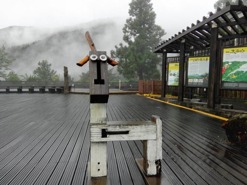 雲霧漫步山林之間~太平山_466876