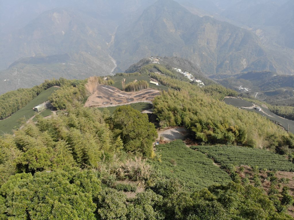 雲嘉大尖山.二尖山_525054