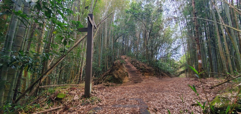 2025-01-18頂石棹步道群_2694162