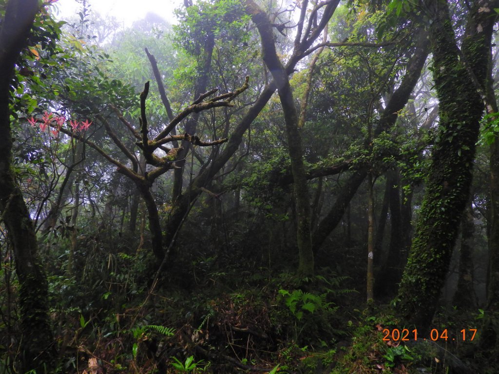 新北 坪林 東坑山、建牌崙山、梳妝樓山_1352017