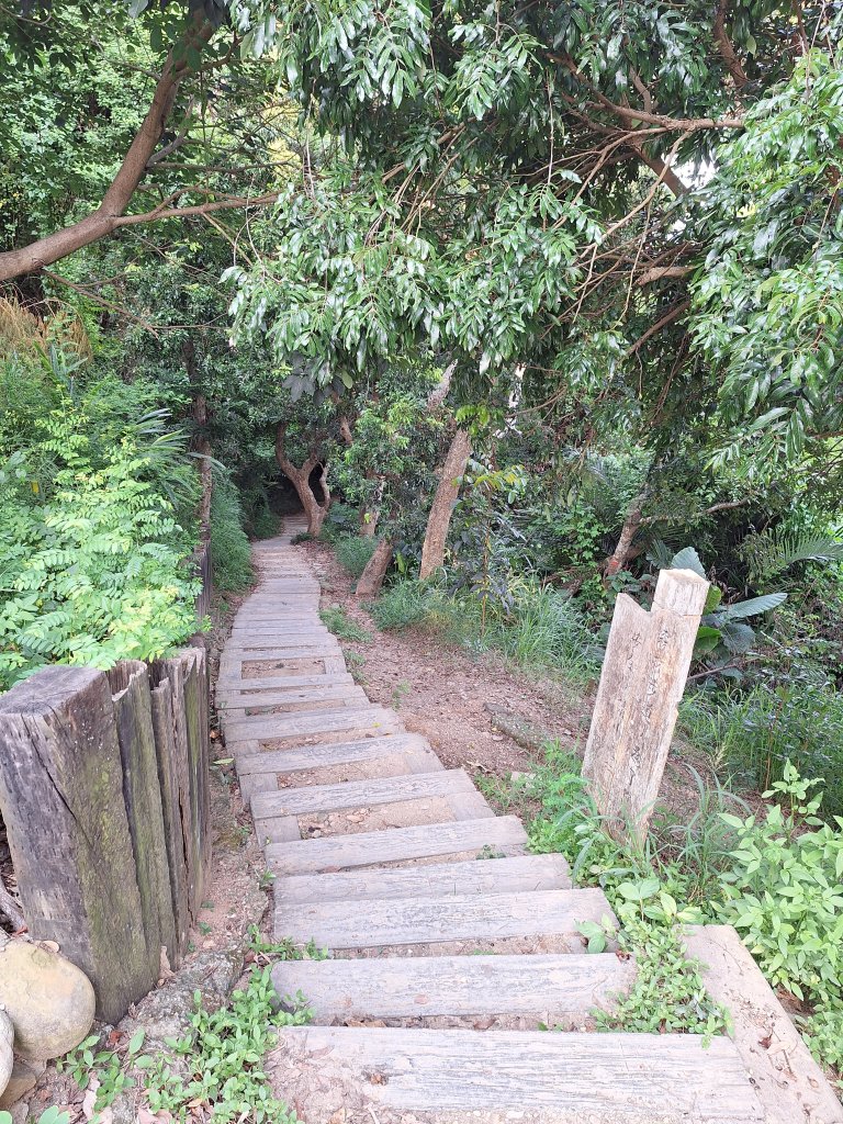 桃源里森林步道+龍鳳谷步道+坑子內山20250906_2880233