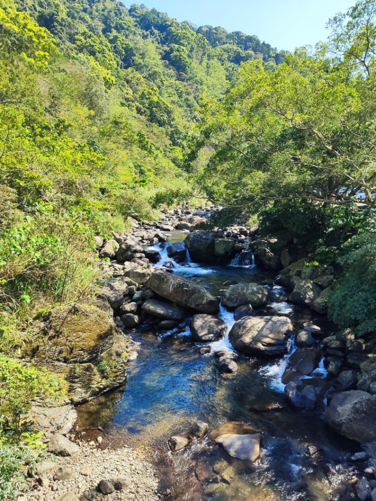 血籐大亂鬥_3015532