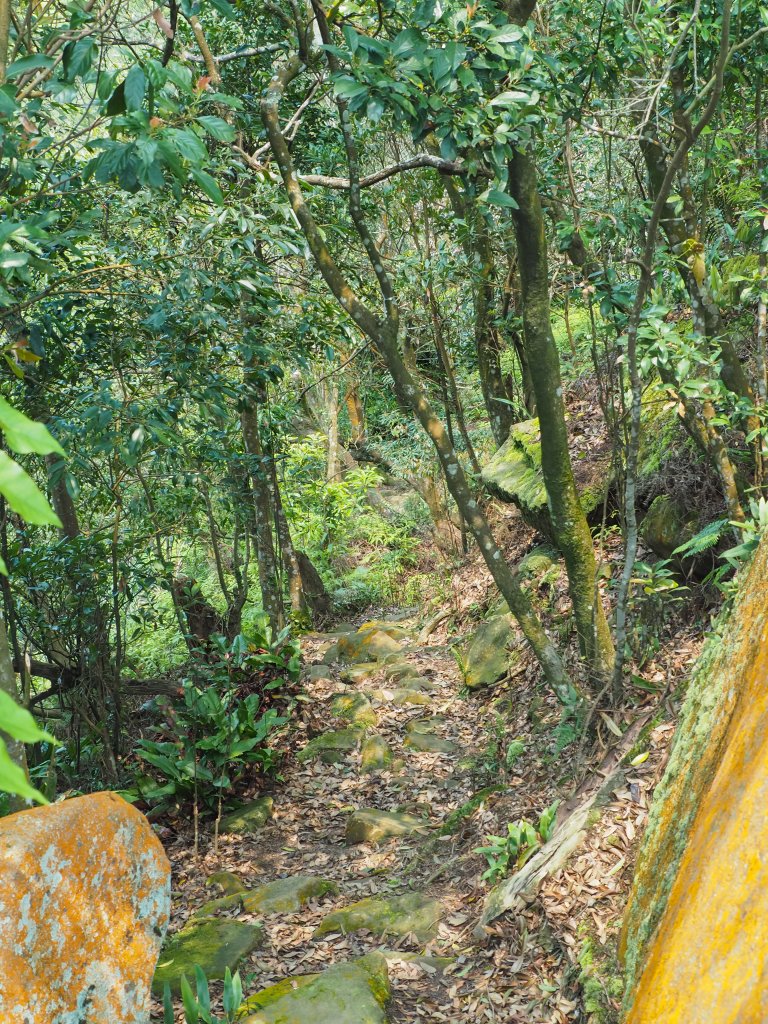 [台北]內湖金面山_564091