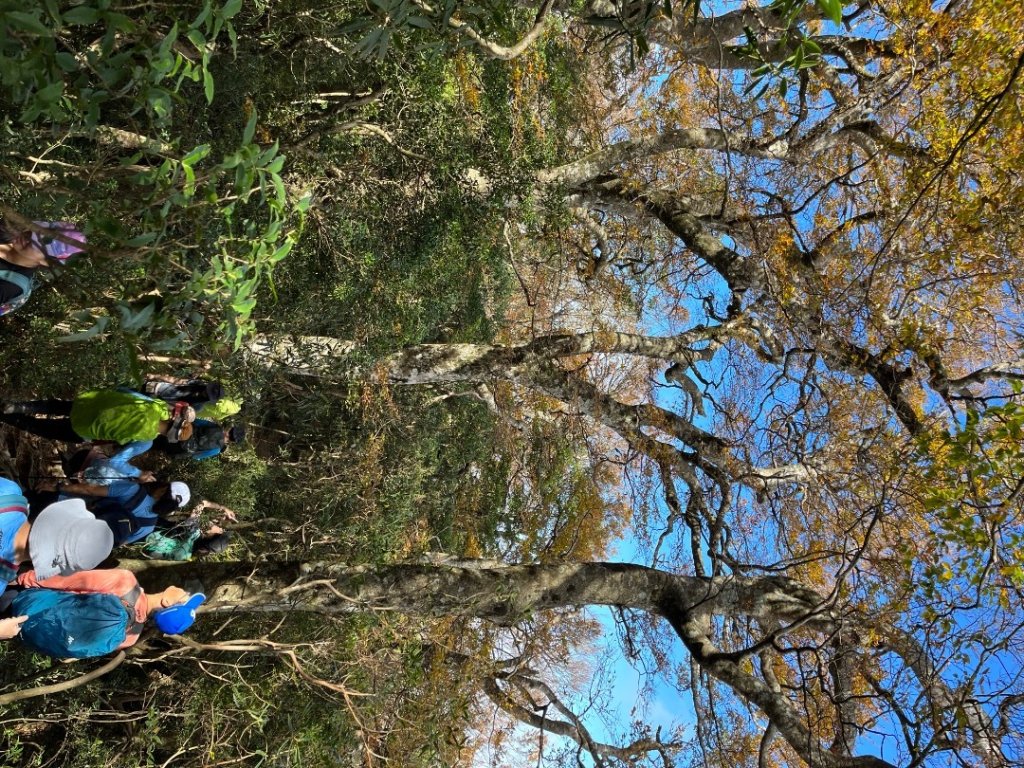 20221112_北得拉曼山_2762252