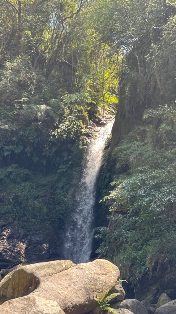 裡冷上唐麻丹O繞+蝴蝶谷_2742911