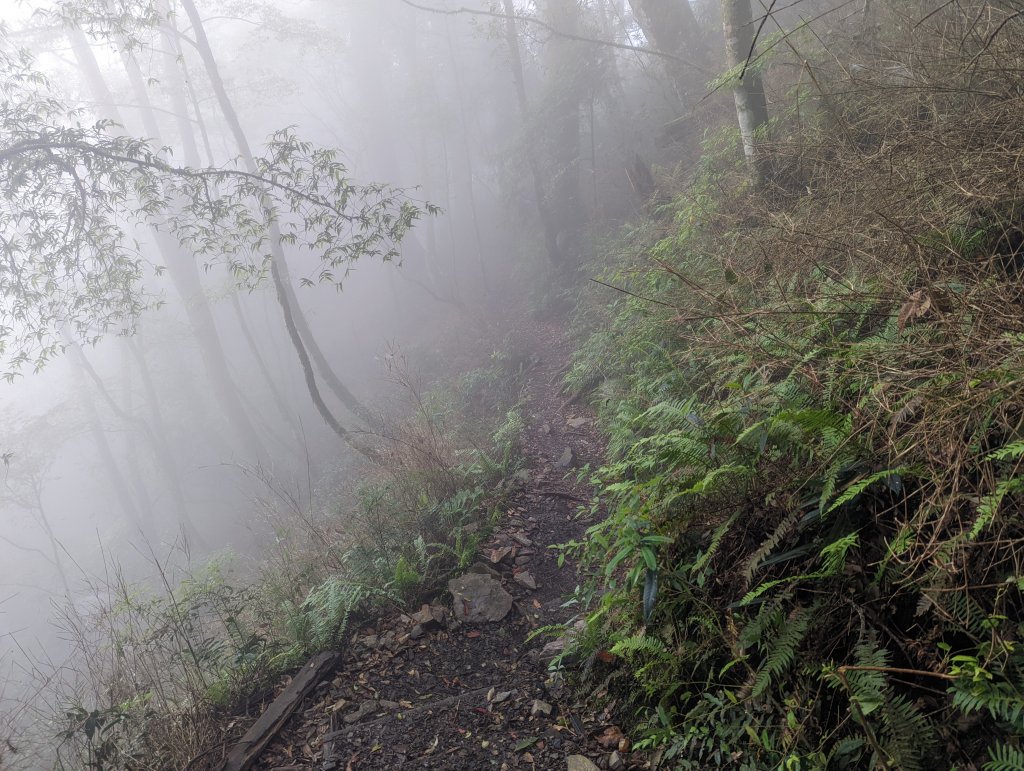 谷關七雄：八仙山_1744145