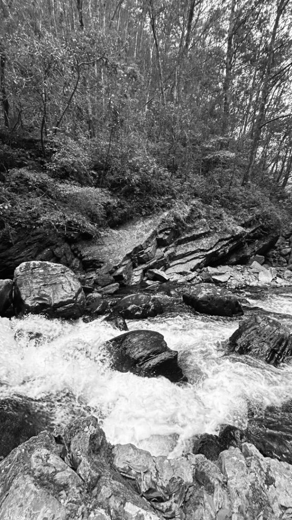 芃芃山西北稜大內台封面圖