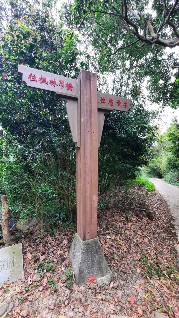 《苗栗》楓香林道｜頭份老崎古道（後花園步道）20250329_2748883