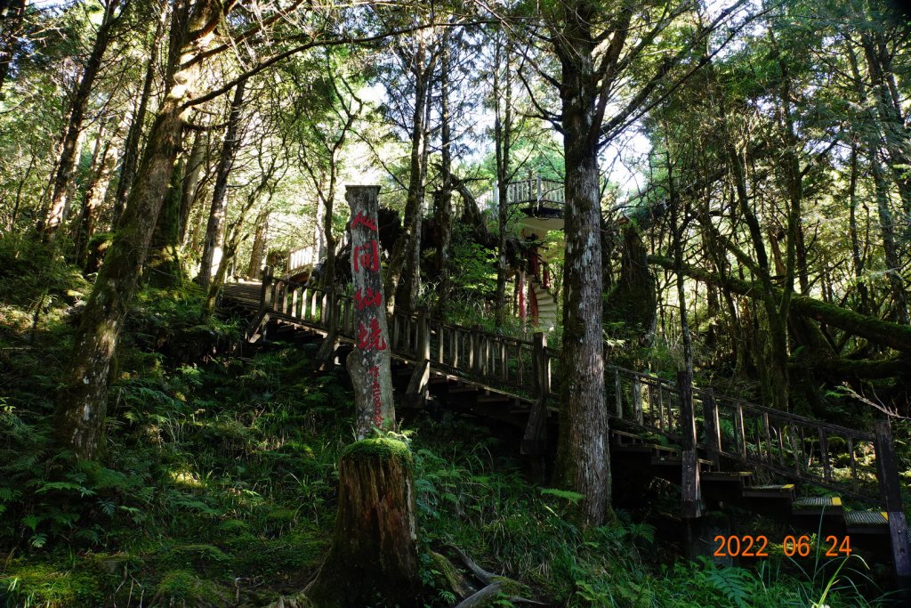 宜蘭 大同 太平山森林遊樂區_1743647