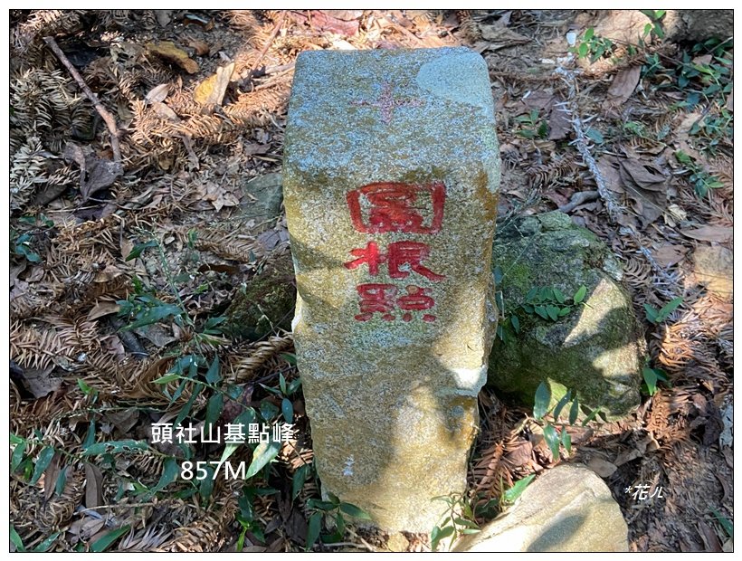 頭社山主峰及基點峰(社頭山)封面圖