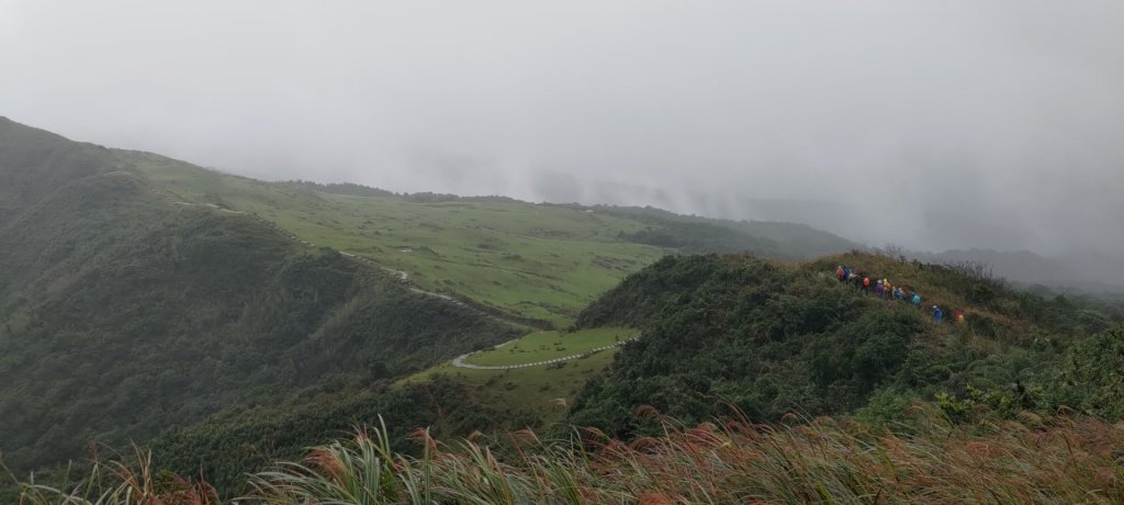 桃源谷，草嶺古道縱走_1902818