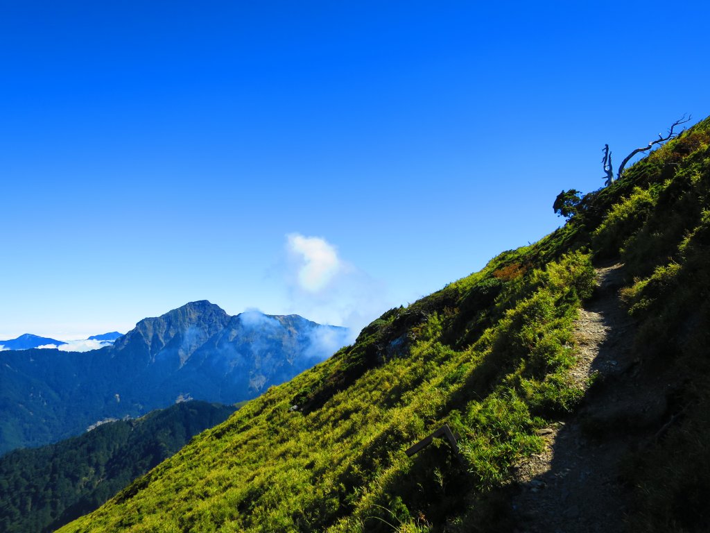 搭公車爬CP值最高的百岳：合歡群峰_748435