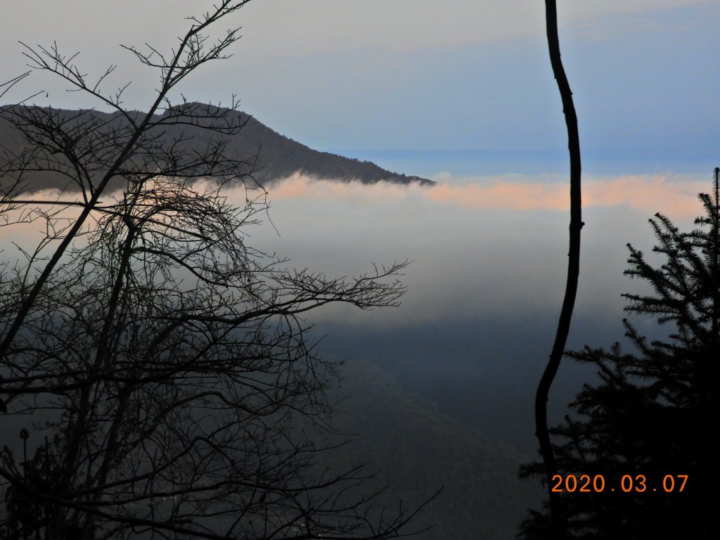 新竹 五峰 民都有山(面托油山)_869205