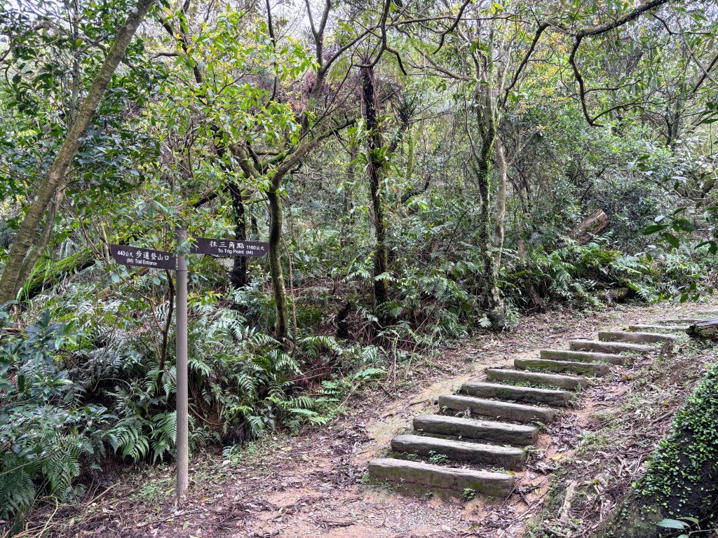 姜子寮山_2736841