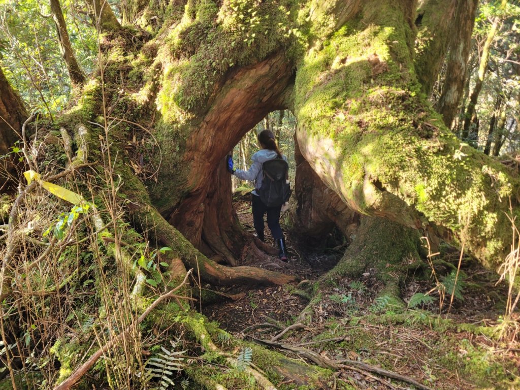 20230219 塔魔巴_2037337