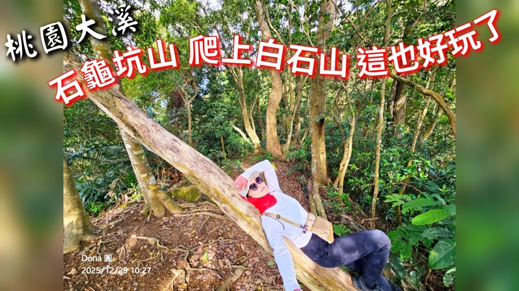 20251229石龜坑山上白石山下白石埤O走+阿姆坪封面圖