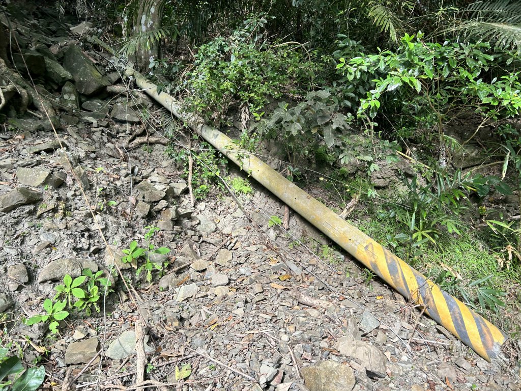 西阿里關山_2365423
