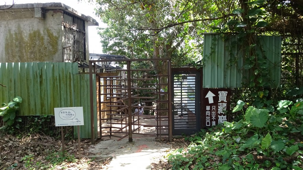 溫羅汀魚木,小觀音山,寶藏巖,尋寶步道,台大,芳蘭居_2115533