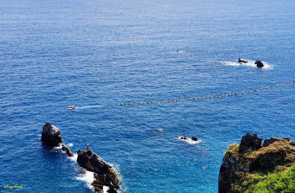 【中央山脈的起點】刀尖上的山行者 _1106190