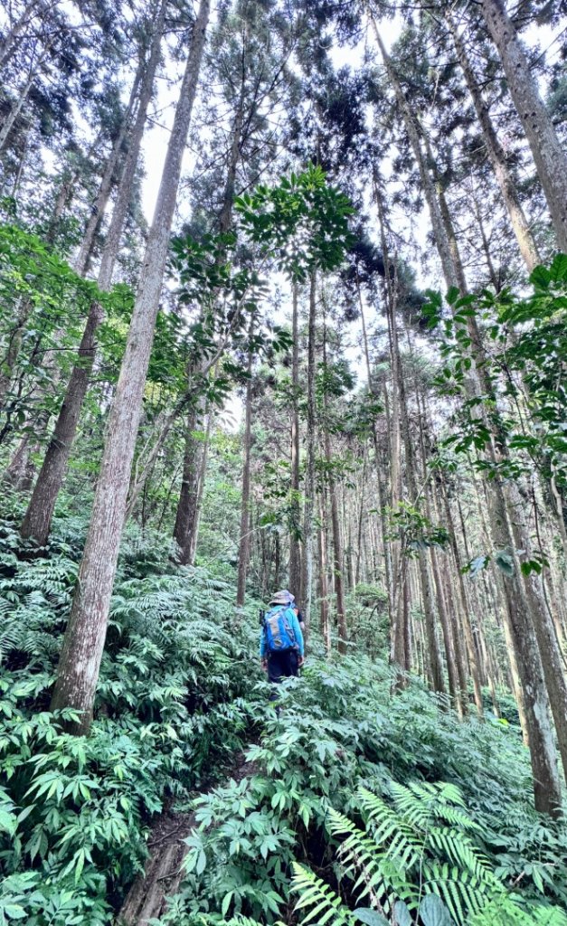 光天高山 - 向天湖山(小百岳32) 小O一圈_2876926