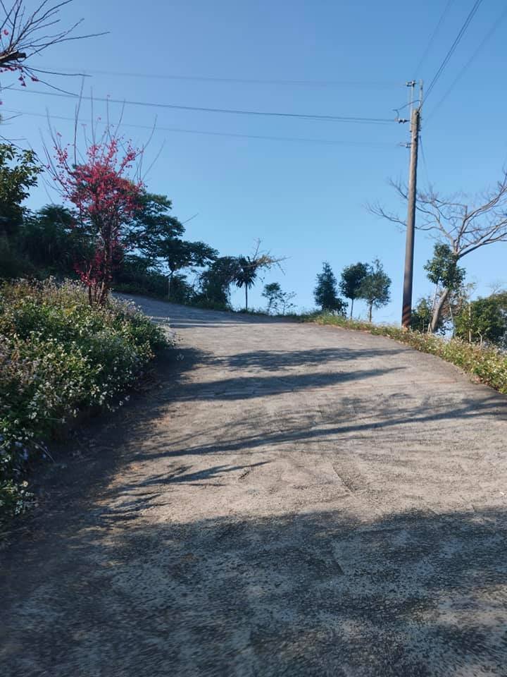 挑筍古道(大尖山、後棟仔山步道)_1262767