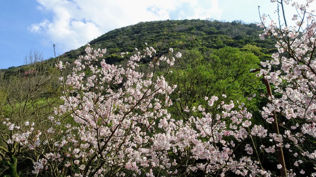 十八份水圳_1277617