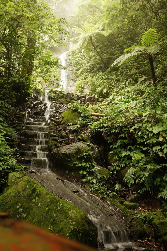 馬武督外鳥嘴山封面圖