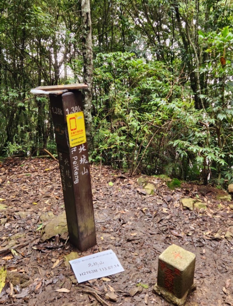 【中級山縱走】觀雪縱走（雪見大板根，仰天神木，北坑山，司馬限林道）_2741216