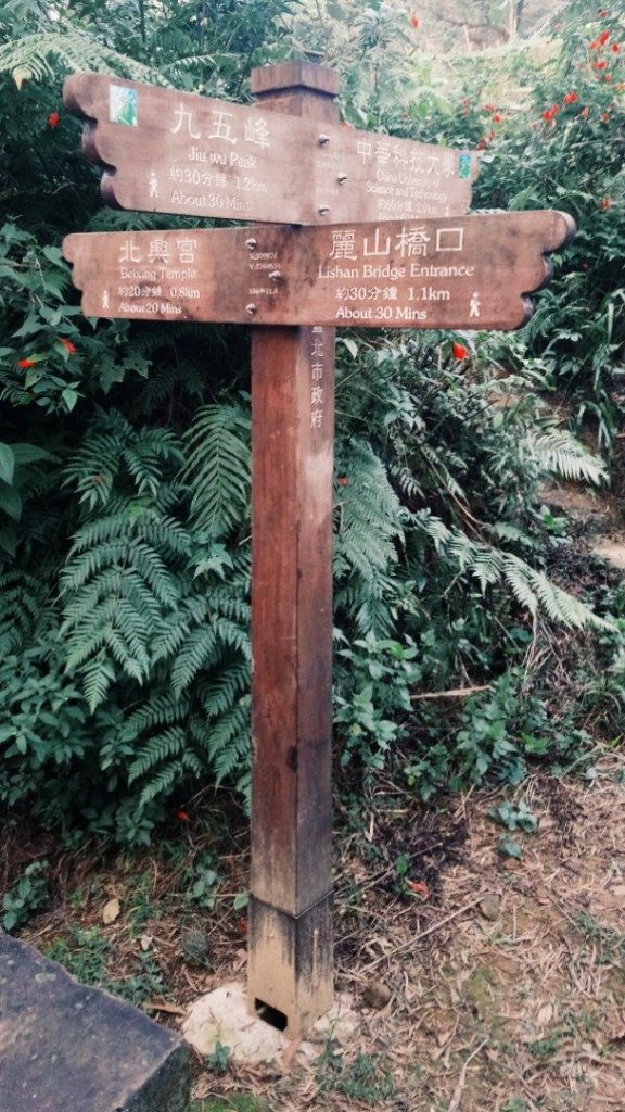 麗山橋口 南港山 20181121_463401