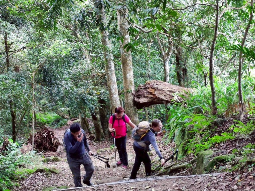 馬那邦山（珠湖登山口）_2933949