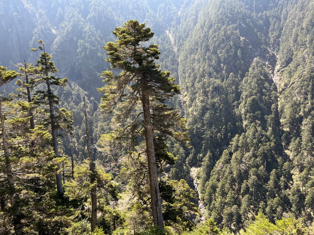 2023_0410_玉山主峰_2106572