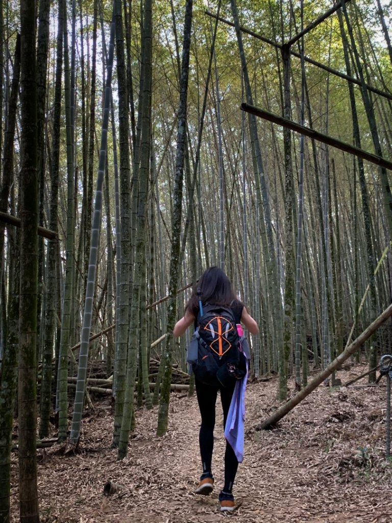 2021.03.14 「水社大山 」封面圖